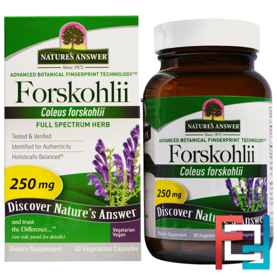 Forskohlii, Nature's Answer, 250 mg, 60 Vegetarian Capsules