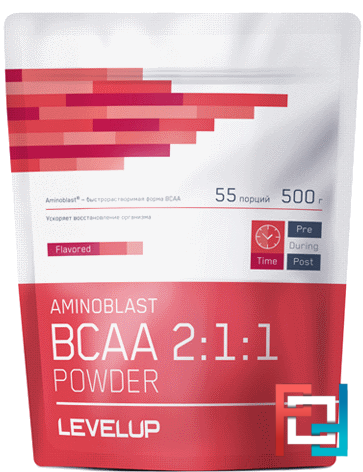 Aminoblast BCAA Powder, Level UP,  500 g