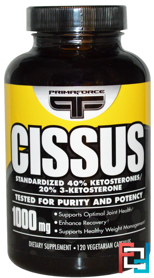 Cissus, Primaforce, 1000 mg, 120 Veggie capsules